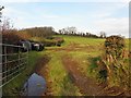 Slievenagh Townland