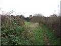 Footpath at Eccleston