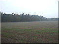 Farmland near Fanny