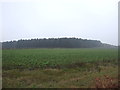 Farmland towards Youngrough Breck