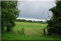 Farmland and gate near Foxcombe