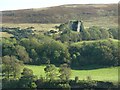 Craigneil Castle from the Boar