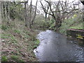 Ash Brook looking downstream