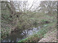 Ash Brook looking upstream