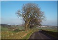 Lane near Douse Croft Farm