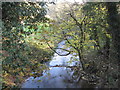 Ash Brook downstream from Darnhall Bridge