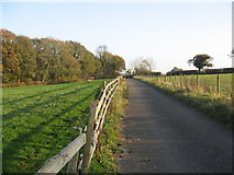 SJ6462 : Access track to Darnhall Bank Radio-telescope by Dr Duncan Pepper