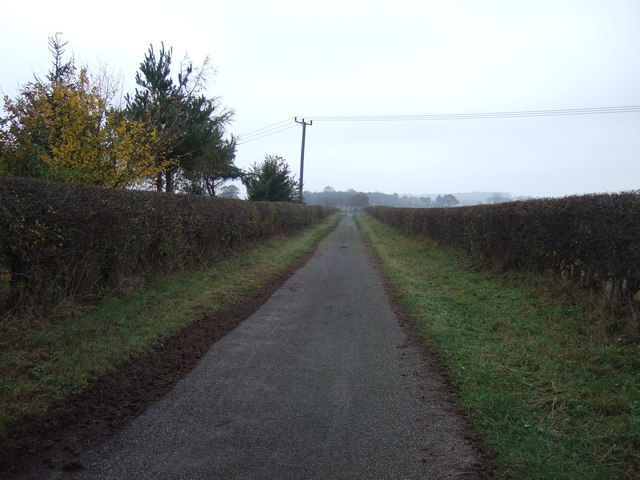 Track to Morton Grange (bridleway)