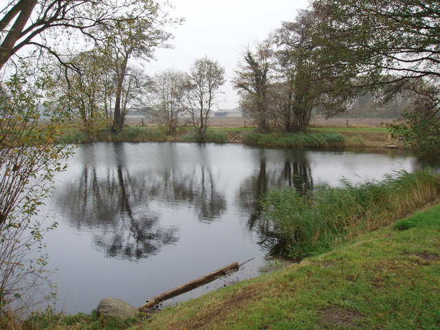 A Fishing Pond