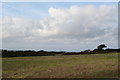 Field of stubble at Trescowe