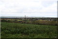 Field of cauliflowers on Godolphin Lower Downs