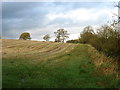 A field east of Ladyston