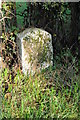 Milestone at Dingestow