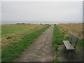 Seat next to path from Blackhall Rocks picnic area to the cliff top