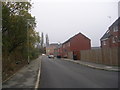 Poplar View - viewed from Steel Green