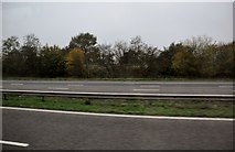 ST0209 : Mid Devon : The M5 Motorway by Lewis Clarke