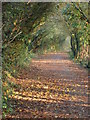 Cycle Path nr Kenfig Hill