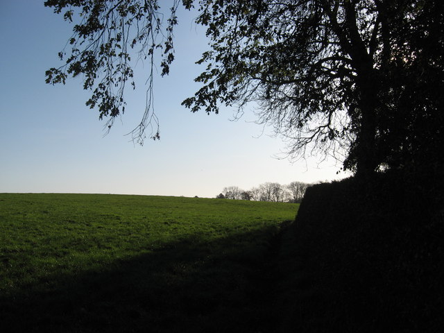 Grazing pasture beside Boundary Wood