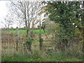 Stile & footpath between New Farm & Bellsmithy