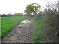 Track of old Roman Road looking South to Park Hall Farm