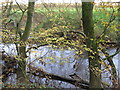 The River Weaver looking downstream