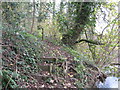 Footpath in Sandicroft Wood