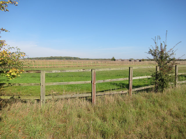 Stud farm field