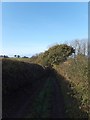 Footpath and track east of Kentisbeare