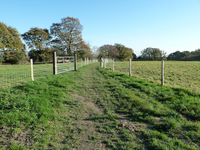 Footpath by Theobald's Green Farm