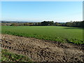 View SE to White Chimneys Farm