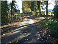 Footpath through White Chimneys Farm