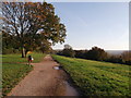 Bridleway path on Riddlesdown Down