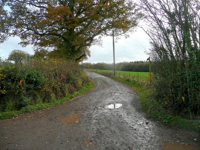 Track to Cobbler's Grove November 2011