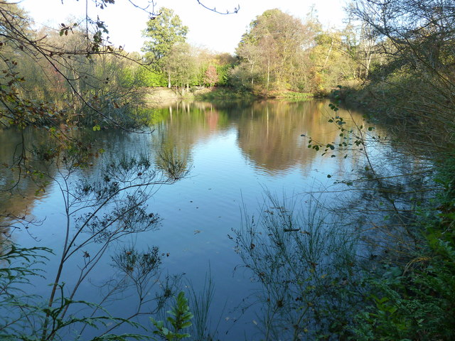 The Old Mill Pond by Twissels Mill © Dave Spicer :: Geograph Britain ...