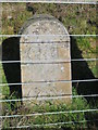 NY9647 : Boundary stone west of Sandyford by Mike Quinn