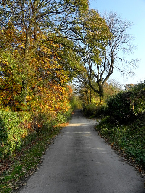 Gorton Upper Reservoir, Manchester - area information, map, walks and more