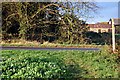 Footpath joins Maldon Road