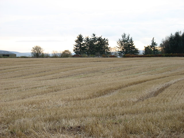 Fields south of Madderty