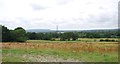 Farmland near West Harting