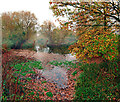 Lake at Aston-on-Trent