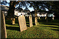 South Brent: gravestones in St Petroc