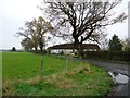 Blairdrummond Moss, Rossburn Lane