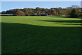 SE4497 : Fields up to Chapel Wood Farm by Bill Boaden
