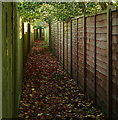 Footpath through the estate