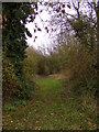 TM2074 : Cats Lane Bridleway by Geographer