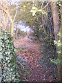 Footpath to Prospect House Farm