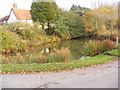 Pond at Cole Street junction