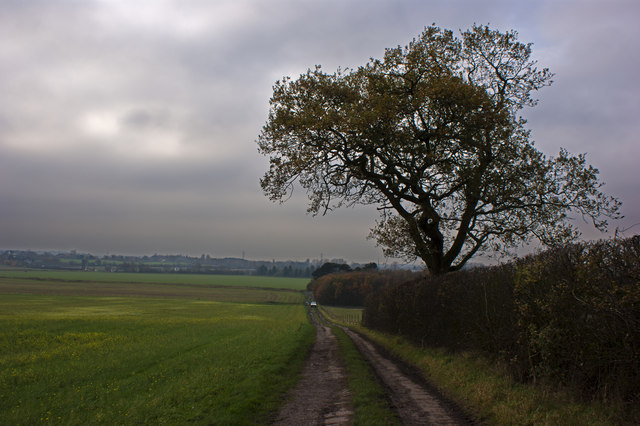 The track to Carr Wood