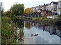 The Brampton Canal