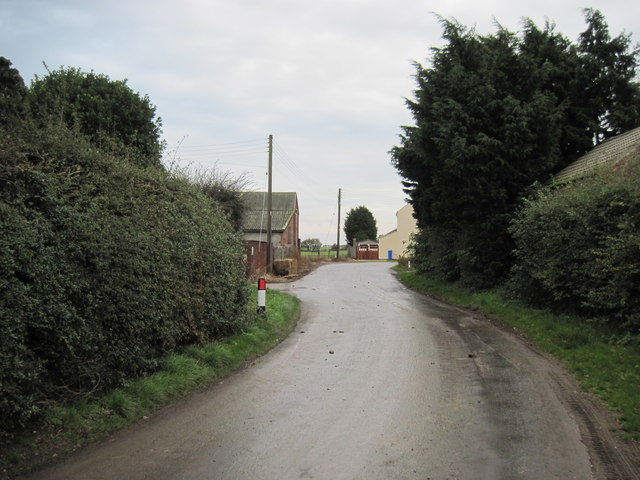 Thirtle  Bridge  Lane  at  North  Farm